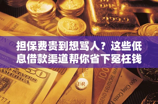 北京担保费贵到想骂人？这些低息借款渠道帮你省下冤枉钱
