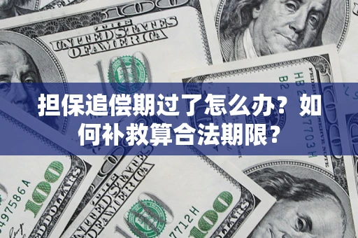 北京担保追偿期过了怎么办？如何补救算合法期限？