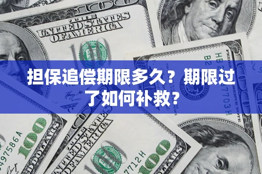 北京担保追偿期限多久？期限过了如何补救？