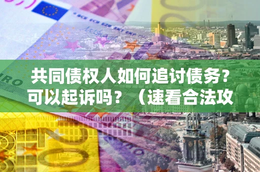 北京共同债权人如何追讨债务？可以起诉吗？（速看合法攻略）